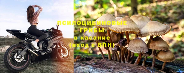 каннабис Касимов