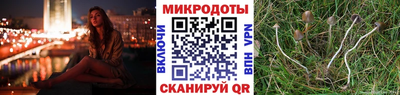 Псилоцибиновые грибы Magic Shrooms  Купить закладки  Светогорск 